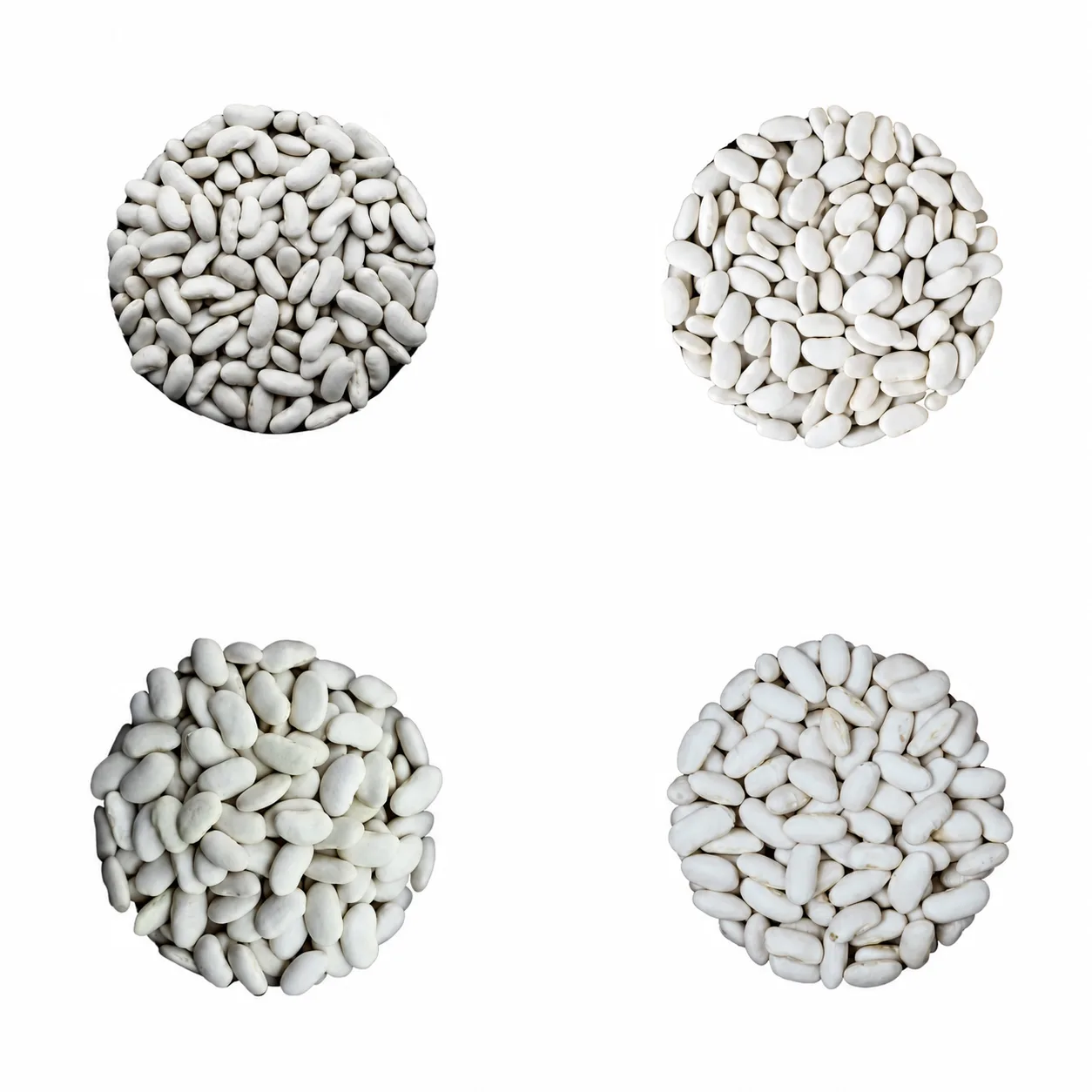 Pulses White